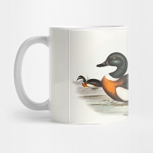 Chesnut-Coloured Shieldrake Mug